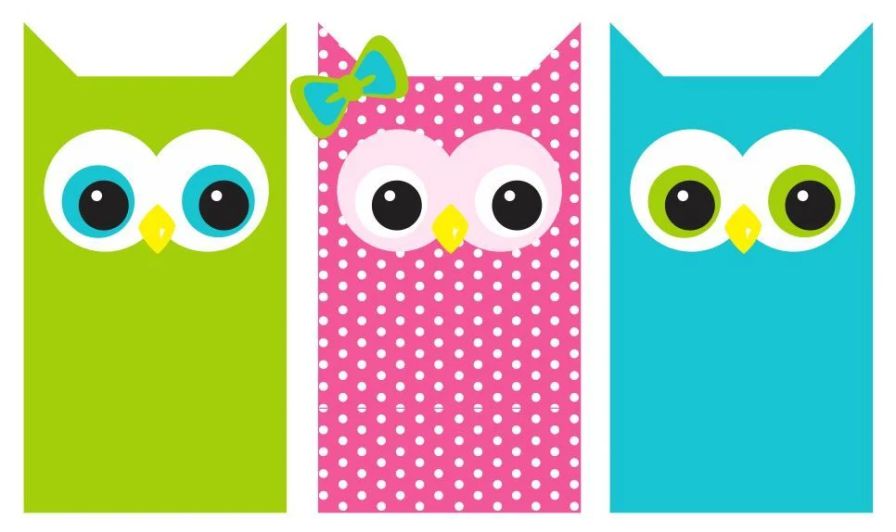 owl4